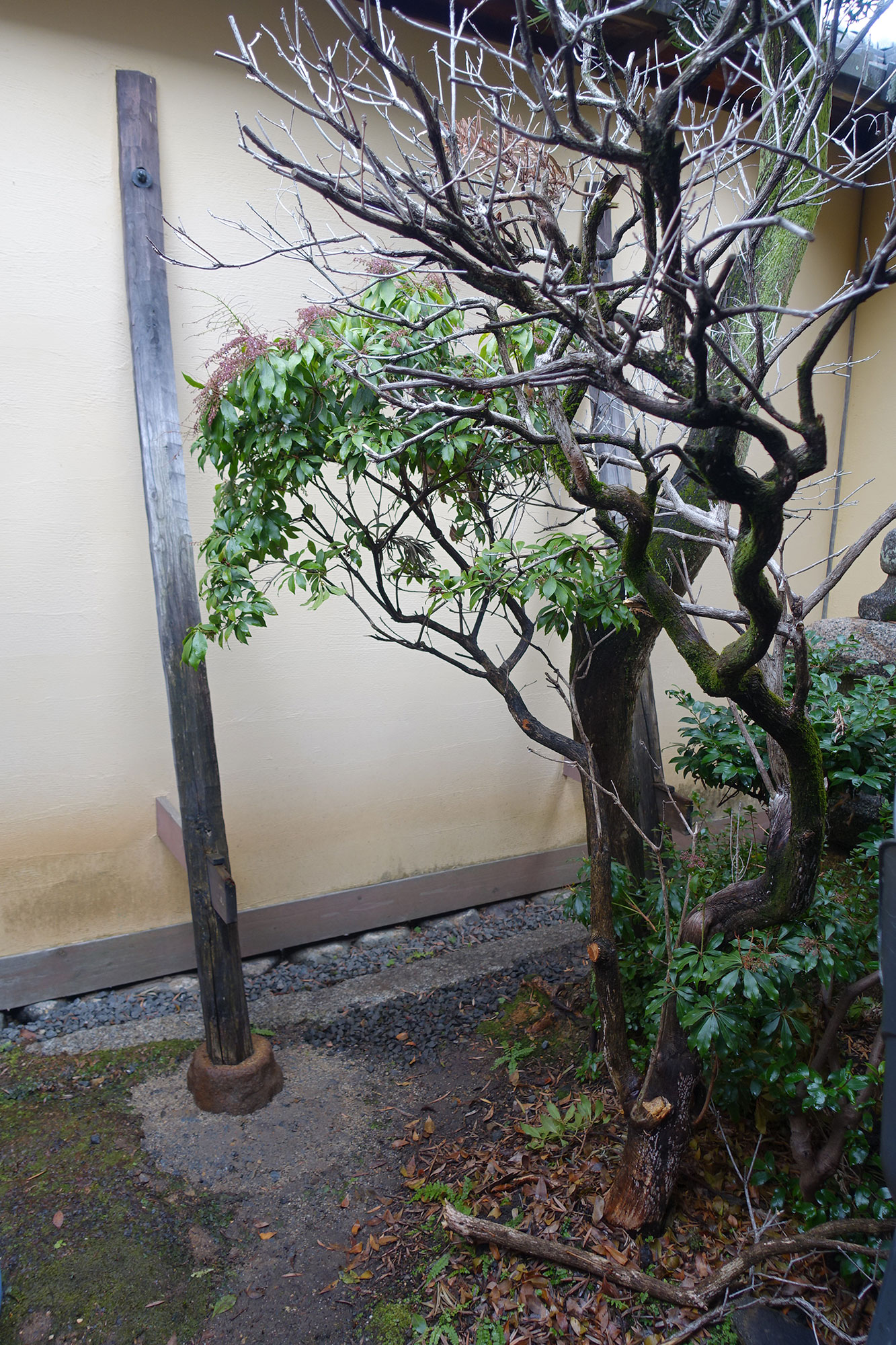 YK邸 改修前の写真